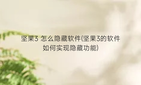 “坚果3怎么隐藏软件(坚果3的软件如何实现隐藏功能)